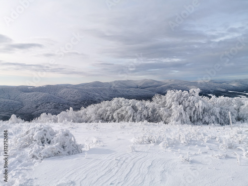 Obraz na płótnie Winter landscape with trees and snow, Bieszczady, Poland w salonie