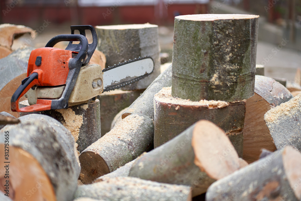 Chainsaw and bucked logs