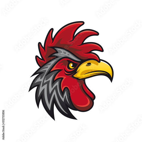 Angry gamecock profile view isolated head of cock. Vector domestic bird with cockscomb, black rooster