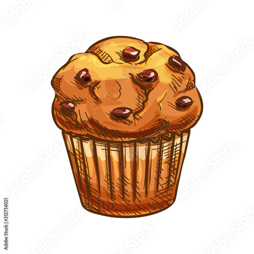 Muffin with raisins vector, bakery product sketch icon. Pastry food and dried grapes isolated