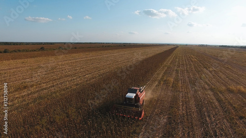 aerial view of harvesting fields with a harvester, harvester working in the field