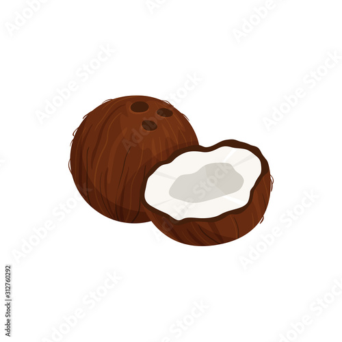 Tropical coconut isolated whole and cut fruit sketch. Vector exotic palm tree nut, oil and milk ingredient