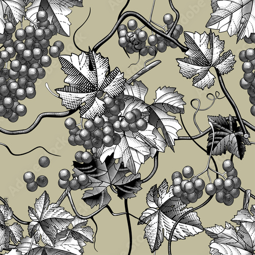 Seamless background of wine grapes engraving
