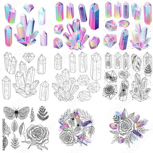 Magical fairytale crystals gem stones and leaves, rose, moths, vector isolated set. Colored, black and white elements.
