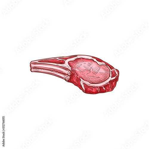 Rib chop sketch icon, meat on rib bone vector. Beef piece or pork steak