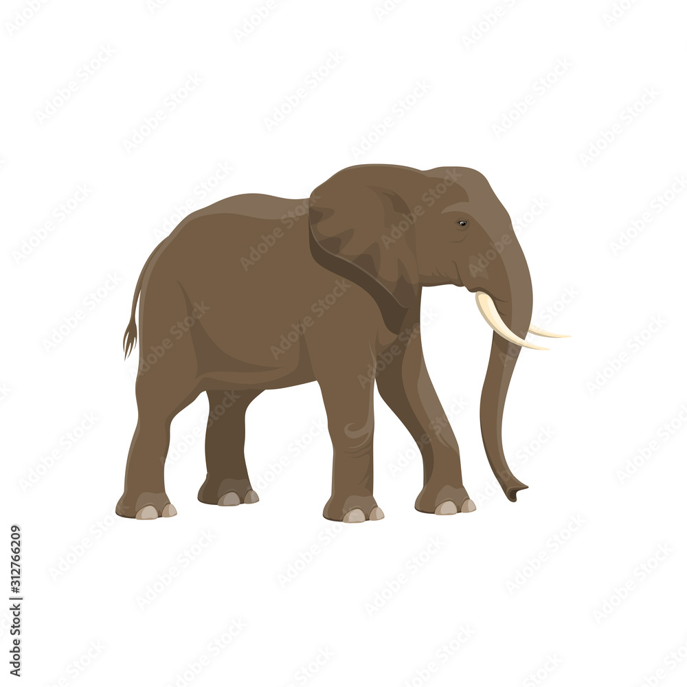Fototapeta premium Elephant wild animal vector isolated icon. African safari zoo and savanna hunt trophy elephant