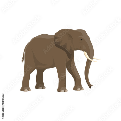 Elephant wild animal vector isolated icon. African safari zoo and savanna hunt trophy elephant