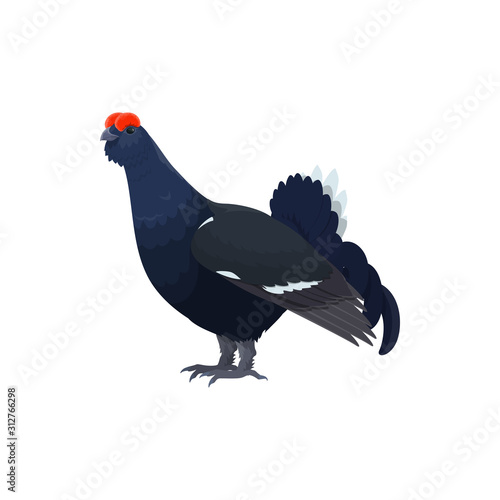Stampa su tela Black grouse or blackcock wild bird vector isolated icon