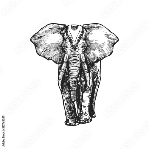 Buddhism religious symbol, white elephant. Buddhist worship and Hinduism Dharma religion vector sketch icon