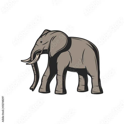 Elephant wild animal icon. Vector African or Indian elephant  safari hunt and zoo mammal