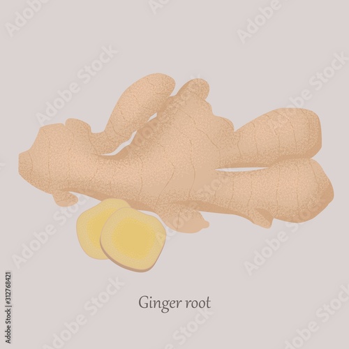 Ginger root whole and sliced in slices on a gray background. Healthy, fresh ginger and logo.