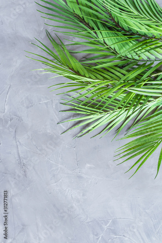 Huge palm leaves on a grey concrete wall background. Vertical © flowertiare