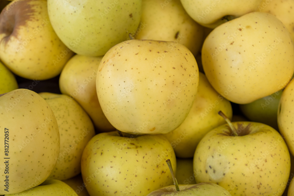 The new harvest yellow apples for sale at the city market The new harvest yellow apples for sale at the city market