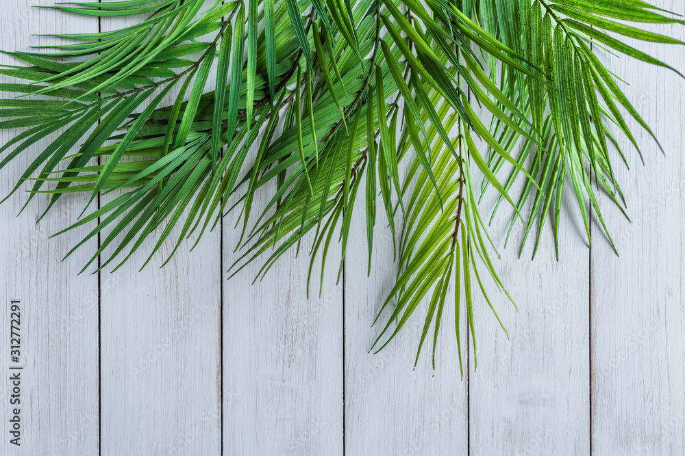Huge palm leaves on a white wooden table Huge palm leaves on a white wooden table