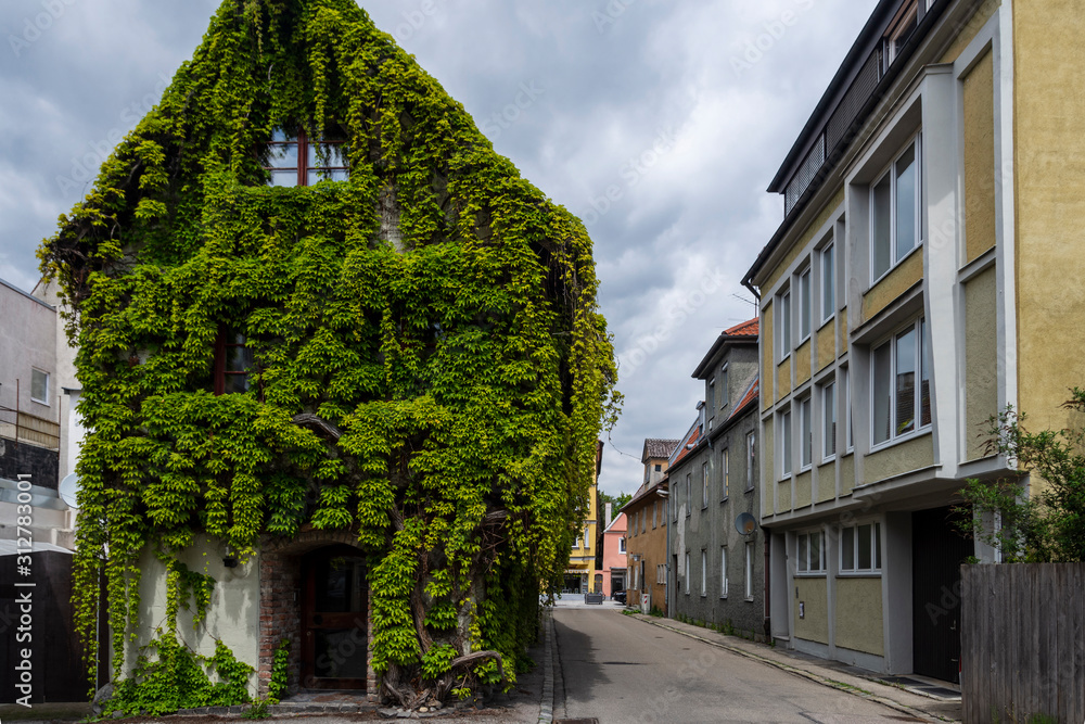 Naklejka premium House with ivy covering facade in Memmingen Germany.