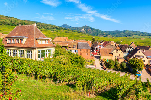 View of famous Hunawihr village with vineyards in foreground, Alsace wine route, France