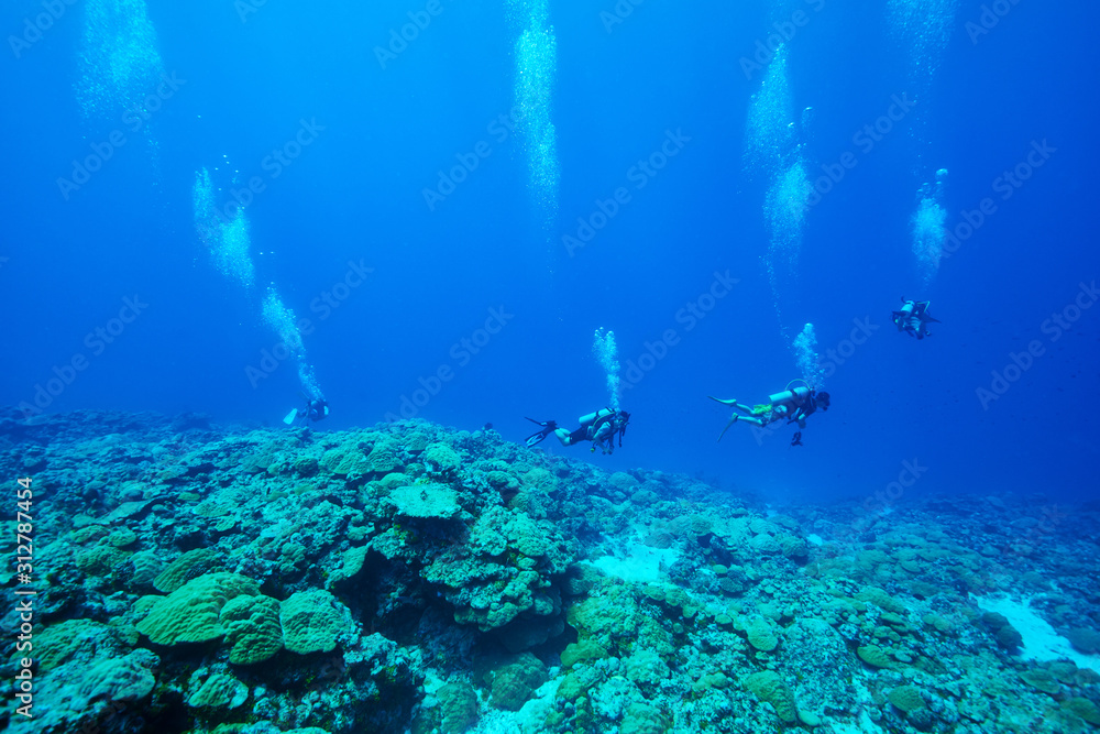 Fototapeta premium Drift diving_3