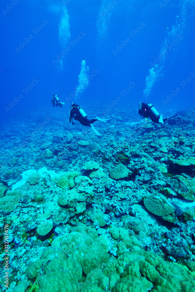 Drift diving_2 Drift diving_2