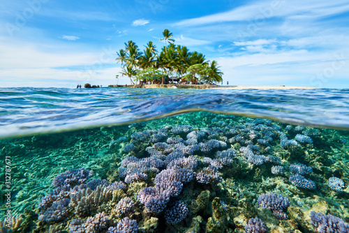 House reef and uninhabited island_2