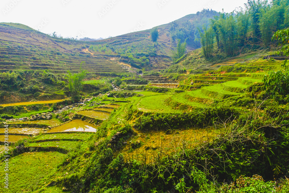 Green rice terraces by Ma Cha hmong village, Sapa, Vietnam 