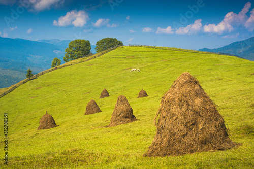 Alpine mountain valley with haystacks on a meadow