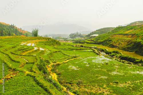 Green rice terraces by Ma Cha hmong village, Sapa, Vietnam 