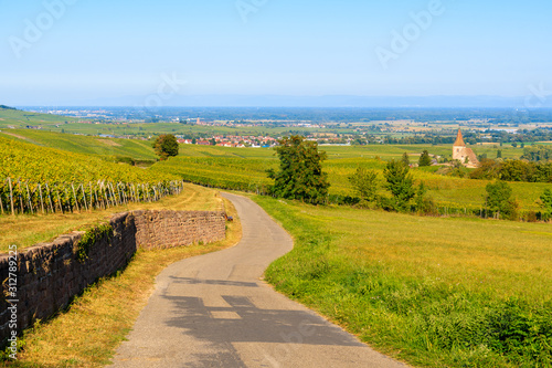 Road among to vineyards to Hunawihr village with old church in background, Alsace Wine Route, France