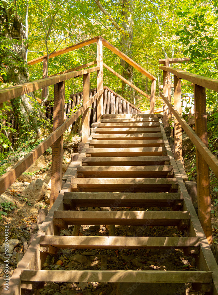 Wooden stairs in a wooded forest with leaves Wooden stairs in a wooded forest with leaves