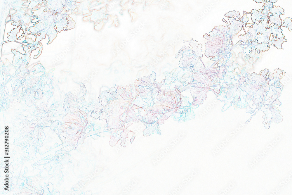 Obraz premium branch White background