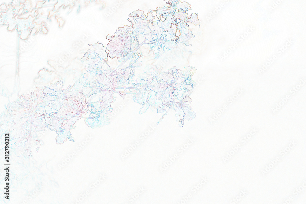 branch White background branch White background