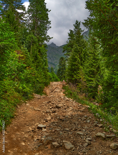 Mountain footpath in the wood