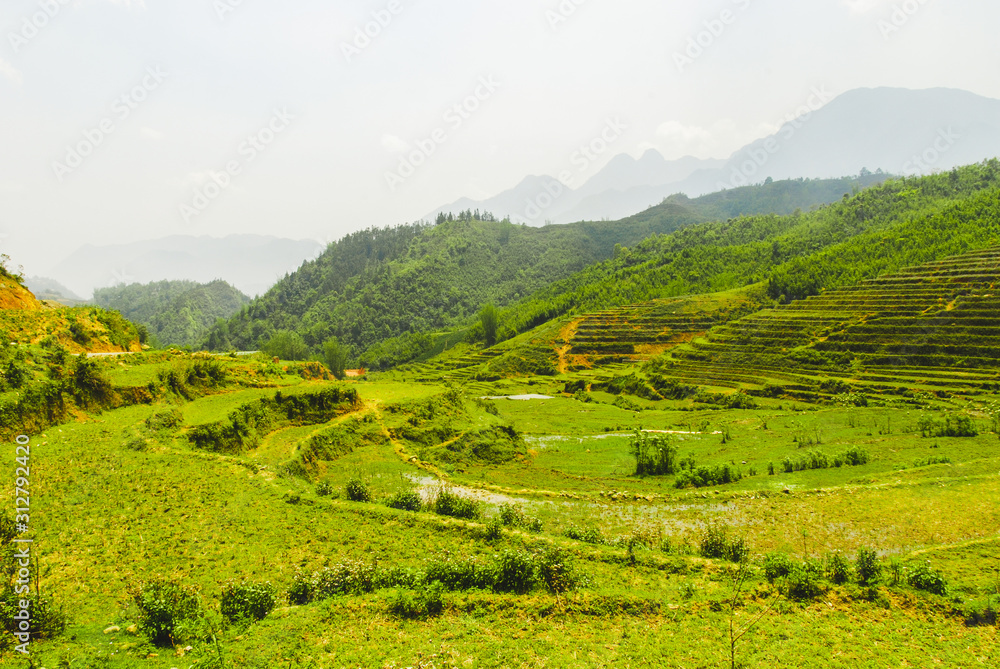 Obraz premium Scenery of beautiful green rice terraces in Sapa, Vietnam 