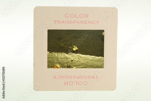 Mounted vintage slide photos of nature