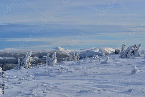Krkonose mountains covered with snow  frozen trees. The highest peak Snezka in the background. Blue sky with white clouds. 