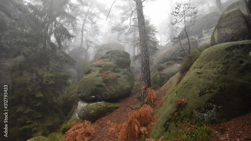 Stone in the Bohemian paradise in winter, Besedicke skaly, Mala skala, Czech republic