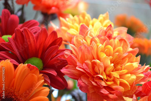 A bouquet of flowers, red as fire at home and a decoration of light. Flowers in a bouquet: Germini, Gerbera, Rose. photo