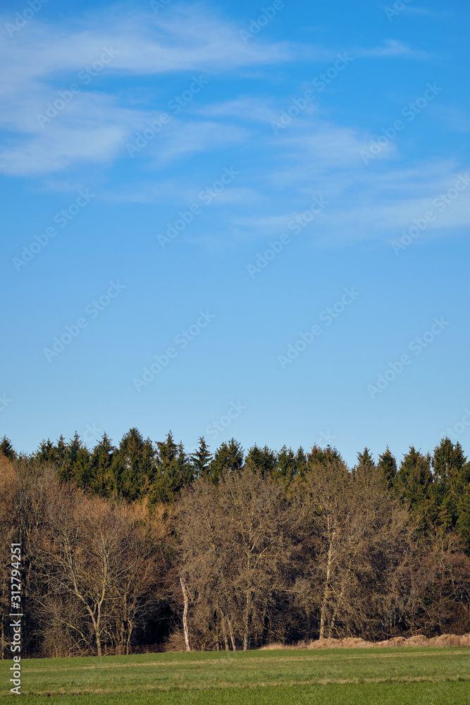 A meadow and some trees in the first days of springtime near the village of Haimendorf in Franconia / Bavaria, Germany. A meadow and some trees in the first days of springtime near the village of Haimendorf in Franconia / Bavaria, Germany.
