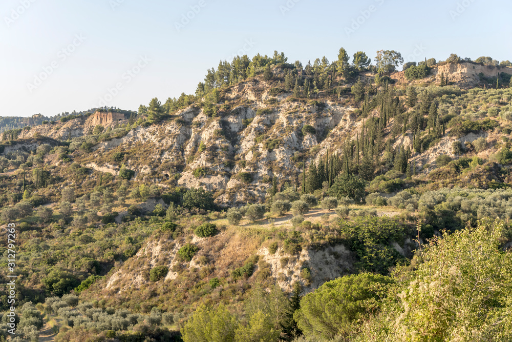 lush Mediterranean vegetation on ravine, near Roccanova, Italy