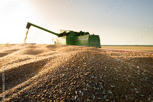 Photos Harvester at work in summer sun
