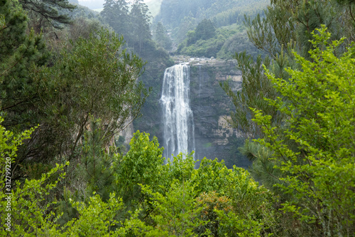 Karkloof Falls. Large Waterfall In a Lush Green Forest In Howick  South Africa. Surrounded By Mountain Cliffs  Trees and A Strong  Powerful Waterfall.