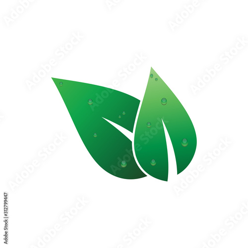 Green leaf logo illustration, silhouette leaf symbol logo