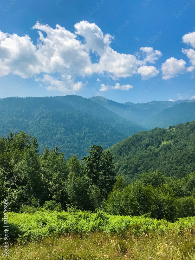 Landscape in the mountain range Vranica in the dinaric Alps in Bosnia and Herzegovina