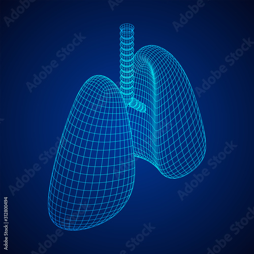 Lungs with trachea bronchi internal organ human. Pulmonology medicine science technology concept. Wireframe low poly mesh vector illustration