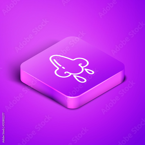 Isometric line Runny nose icon isolated on purple background. Rhinitis symptoms, treatment. Nose and sneezing. Nasal diseases. Purple square button. Vector Illustration