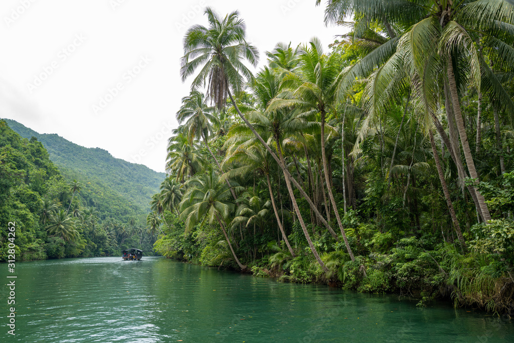 Obraz premium The river cruise on Bohol Island on the Philippines