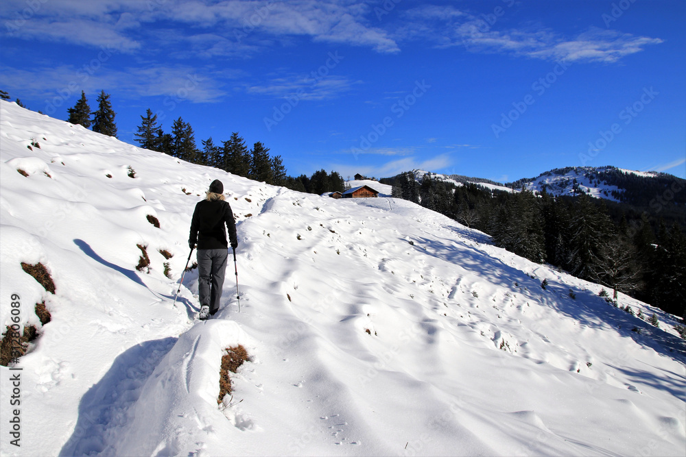 beautiful winter landscape - Vorarlberg Austria