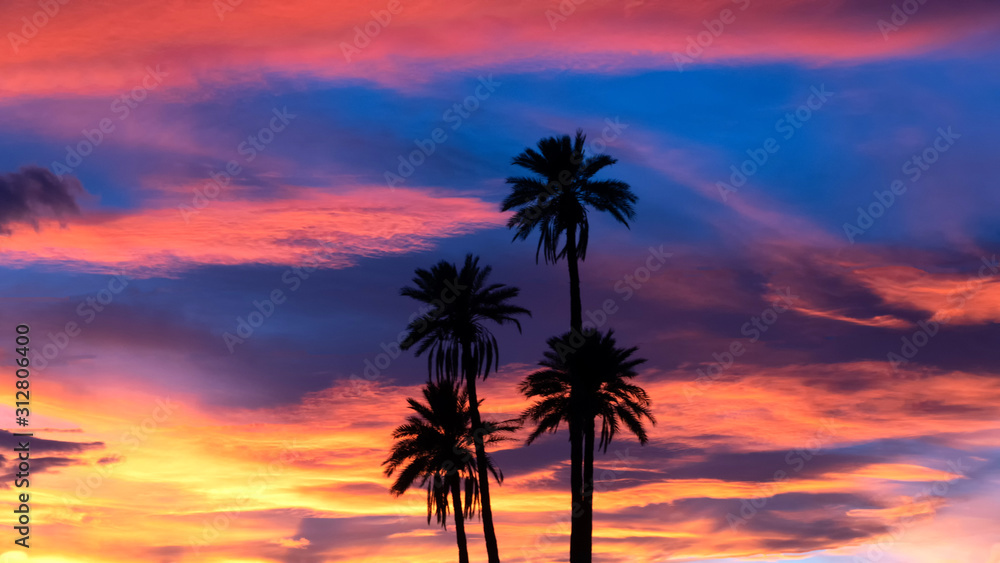 Morocco, silhouette of palm trees against a dramatic sunset