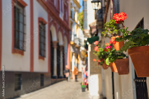 Barrio de Santa Cruz, Sevilla, España