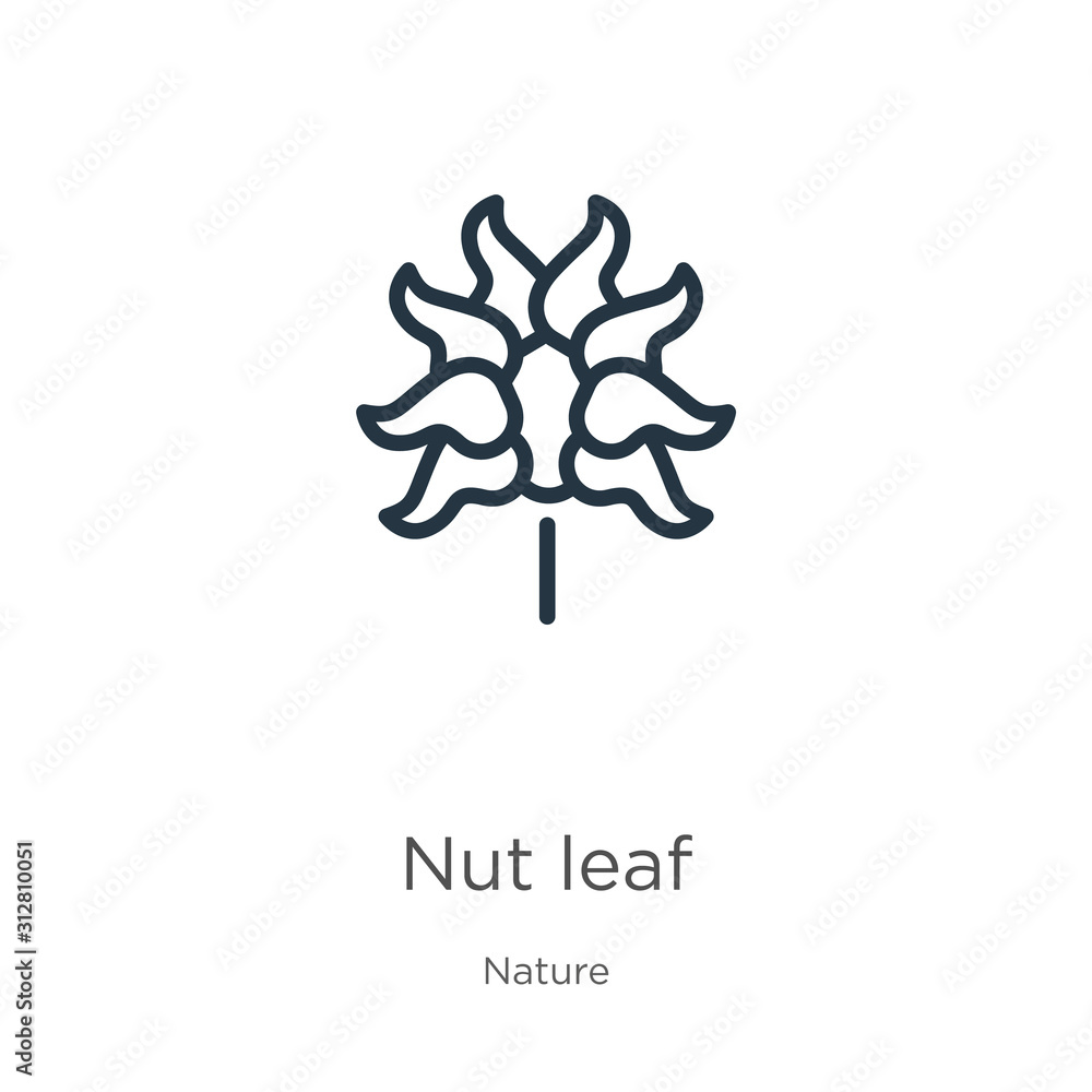 Nut leaf icon. Thin linear nut leaf outline icon isolated on white background from nature collection. Line vector sign, symbol for web and mobile Nut leaf icon. Thin linear nut leaf outline icon isolated on white background from nature collection. Line vector sign, symbol for web and mobile