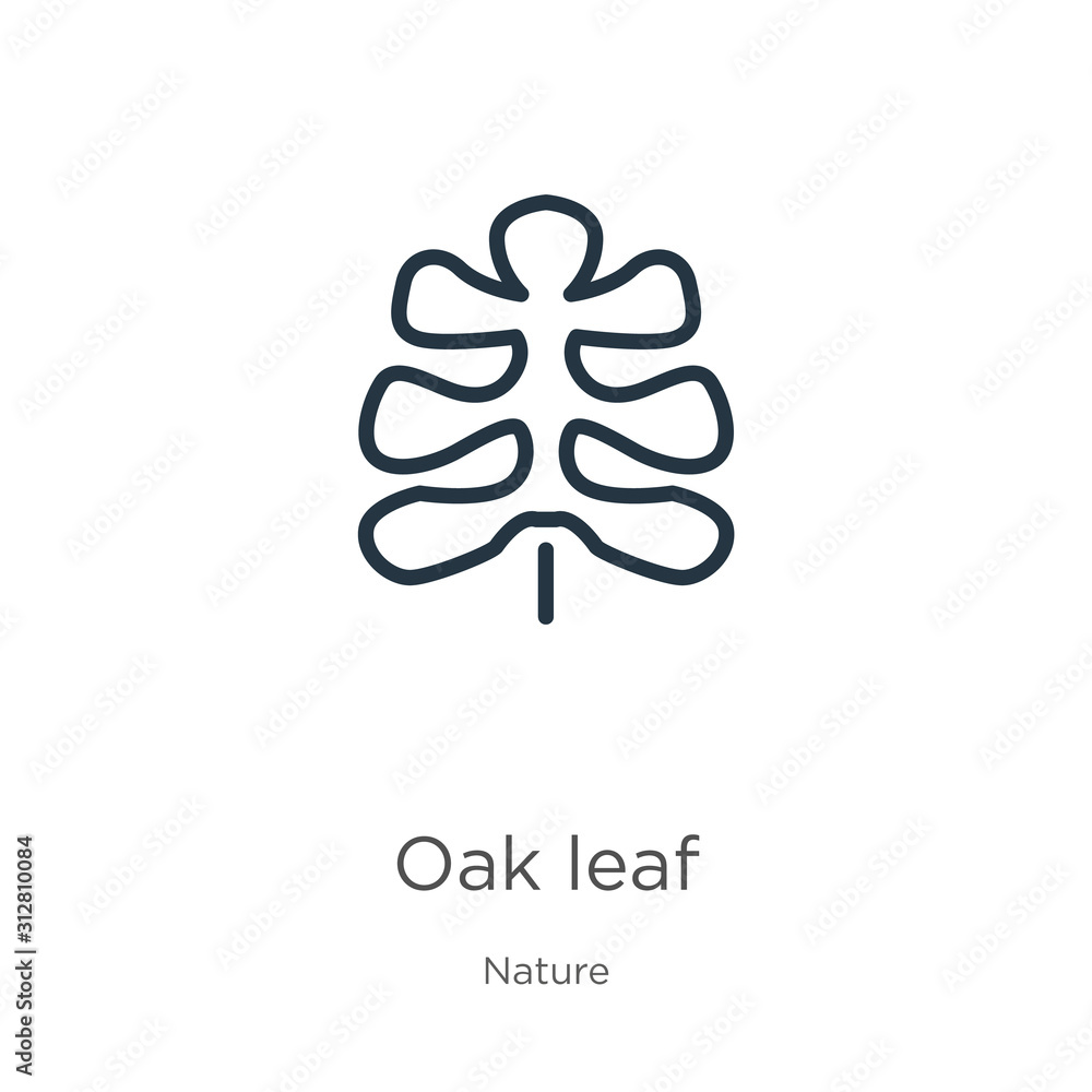 Oak leaf icon. Thin linear oak leaf outline icon isolated on white background from nature collection. Line vector sign, symbol for web and mobile Oak leaf icon. Thin linear oak leaf outline icon isolated on white background from nature collection. Line vector sign, symbol for web and mobile
